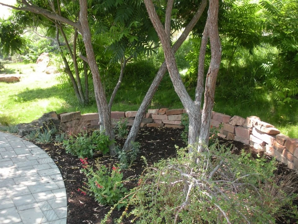 Recent Projects by Stark Sprinler & Landscape - Photo 5