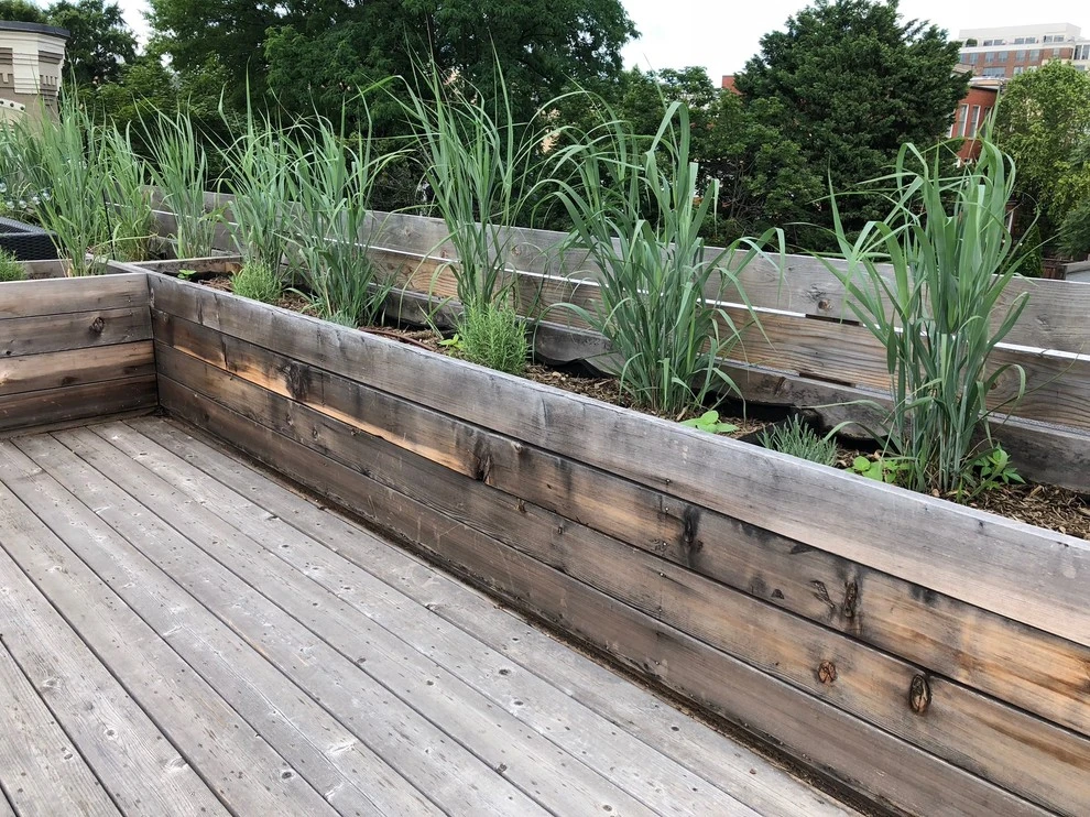 DC Residential Rooftop Garden by Rooftop Roots - Photo 2