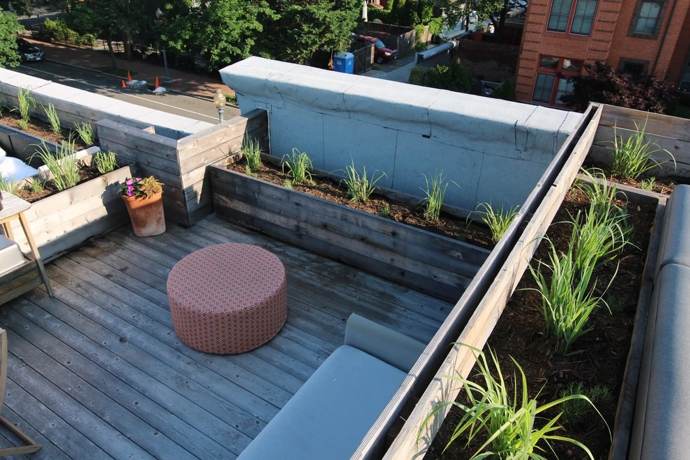 DC Residential Rooftop Garden by Rooftop Roots - Photo 3