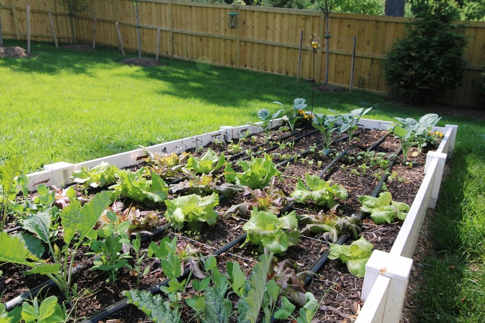 VA Residential Edible Garden by Rooftop Roots - Photo 6