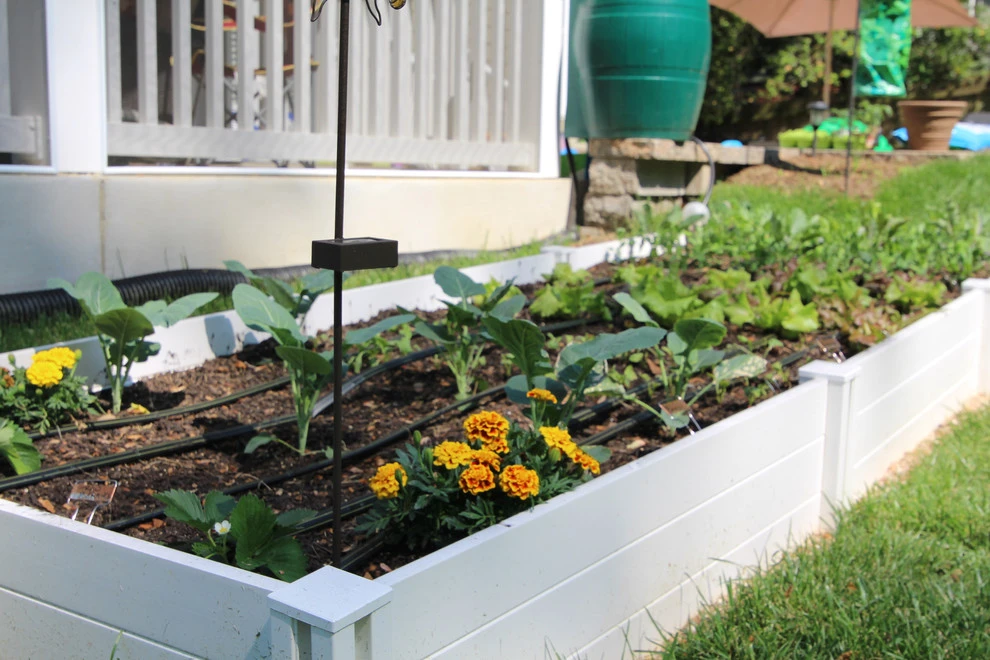 VA Residential Edible Garden by Rooftop Roots - Photo 4
