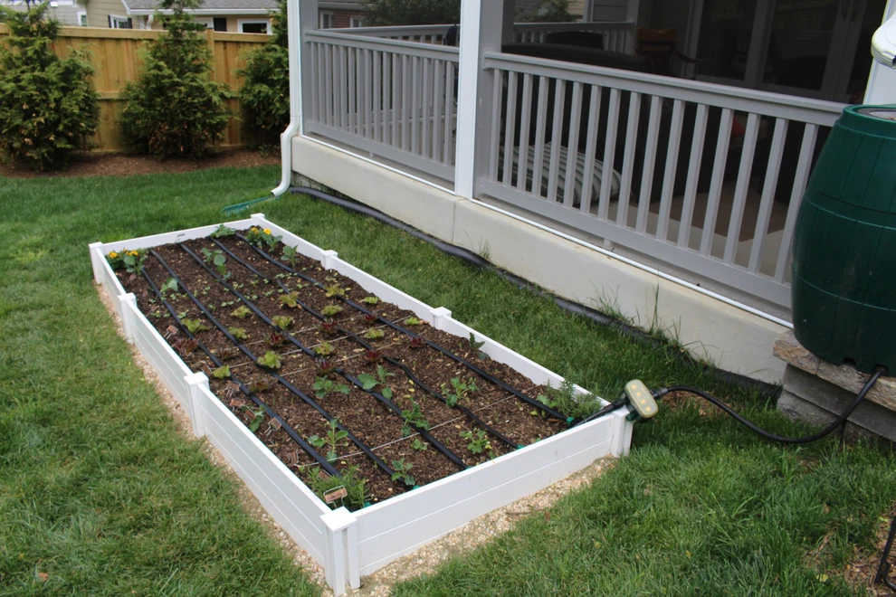 VA Residential Edible Garden by Rooftop Roots - Photo 2