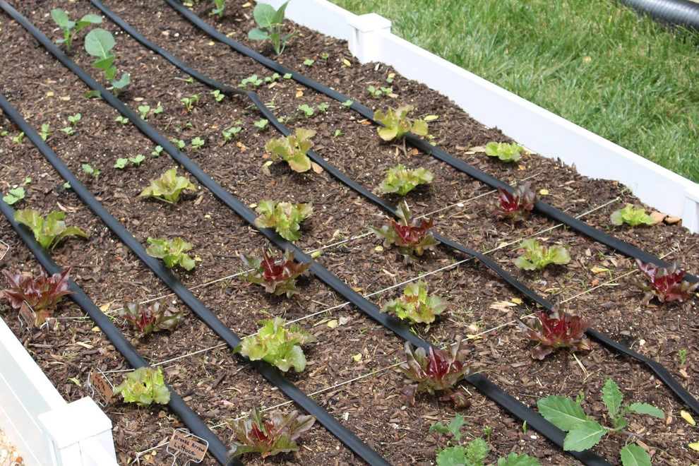 VA Residential Edible Garden by Rooftop Roots - Photo 5