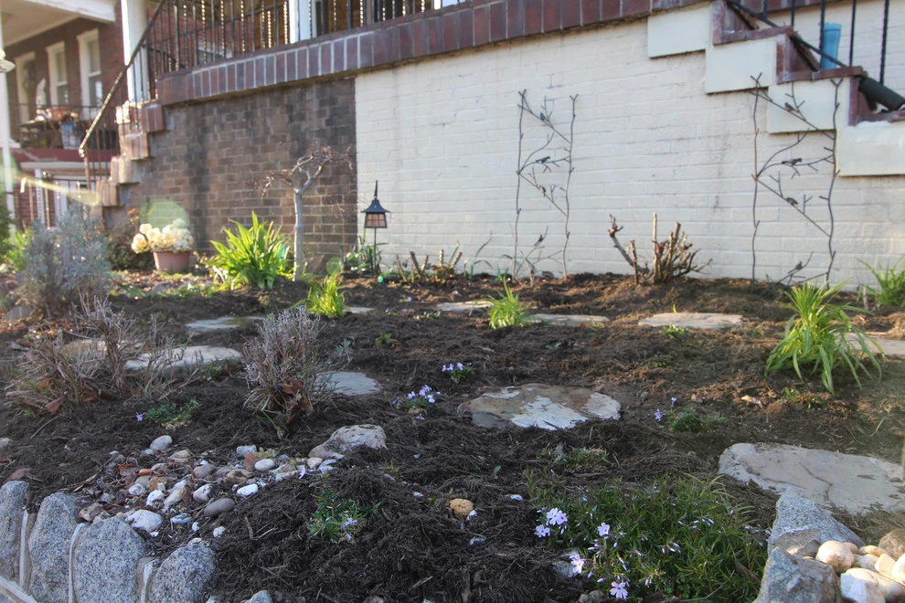 Rooftop Roots - Photo 14