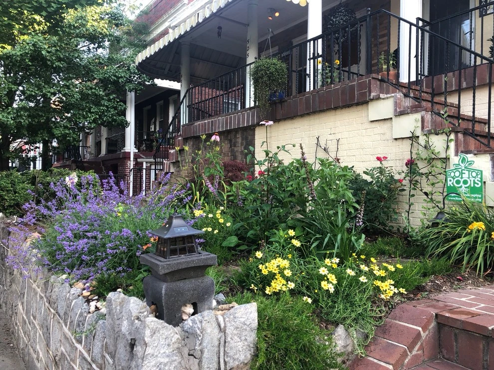 DC Residential Lawn-Native Landscape Conversion by Rooftop Roots - Photo 6