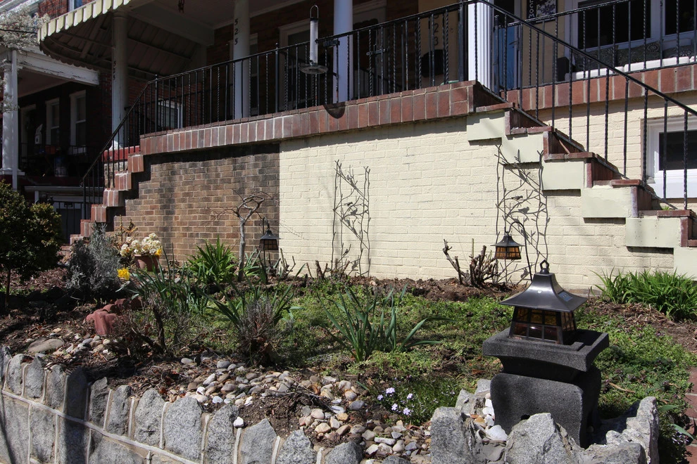 DC Residential Lawn-Native Landscape Conversion by Rooftop Roots - Photo 4
