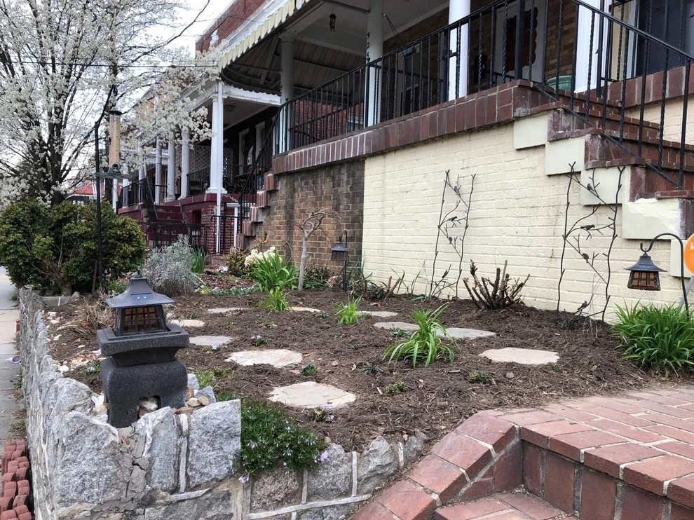 DC Residential Lawn-Native Landscape Conversion by Rooftop Roots - Photo 5