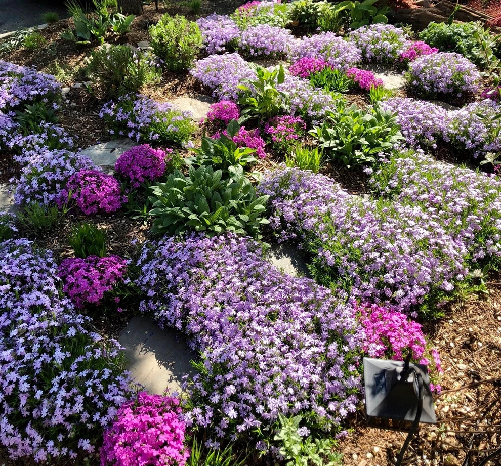 DC Residential Lawn-Native Landscape Conversion by Rooftop Roots - Photo 7