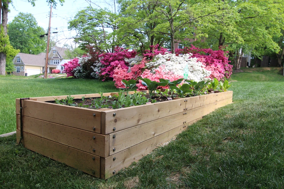 VA Residential Edible Garden by Rooftop Roots - Photo 6