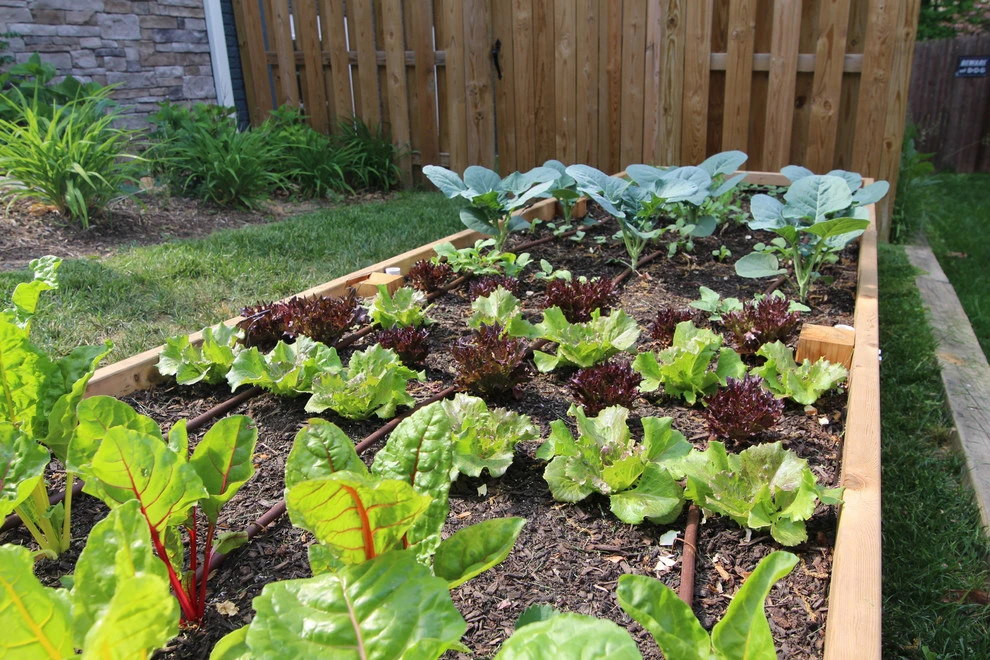 VA Residential Edible Garden by Rooftop Roots - Photo 5