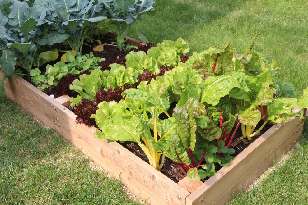 VA Residential Edible Garden by Rooftop Roots - Photo 3