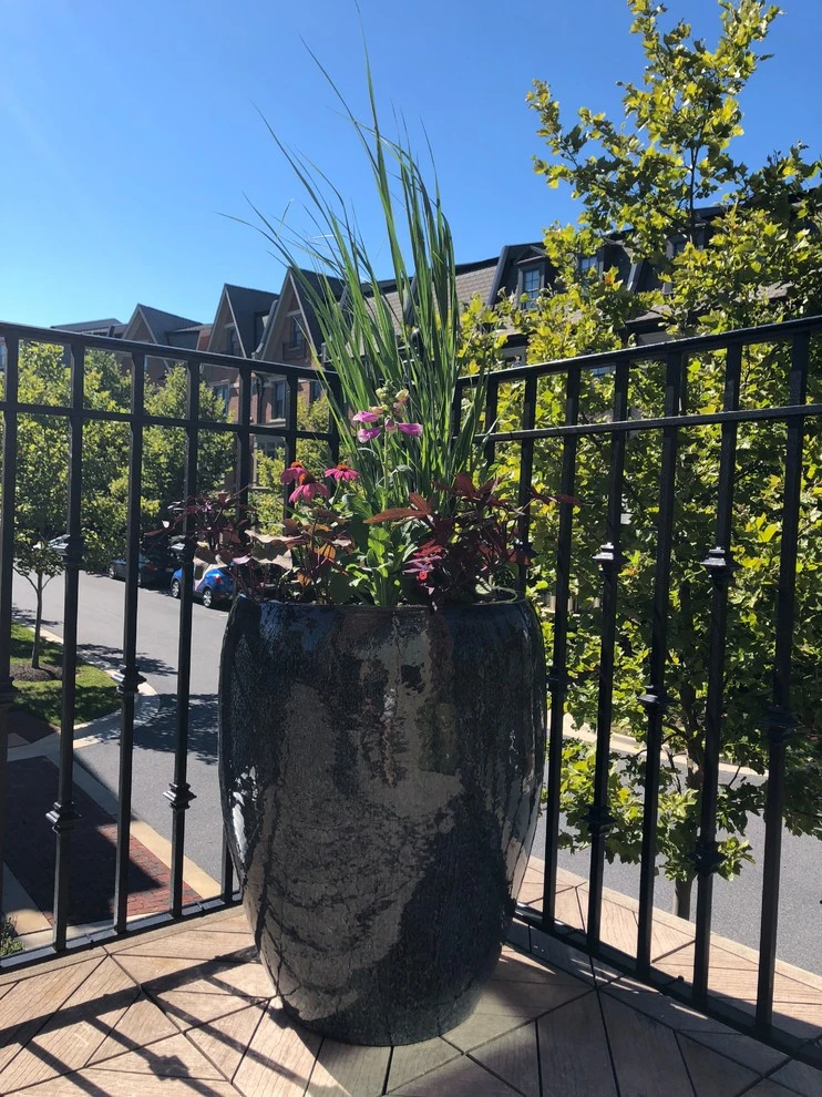 MD Residential Native/Edible Container Patio Garden by Rooftop Roots - Photo 5
