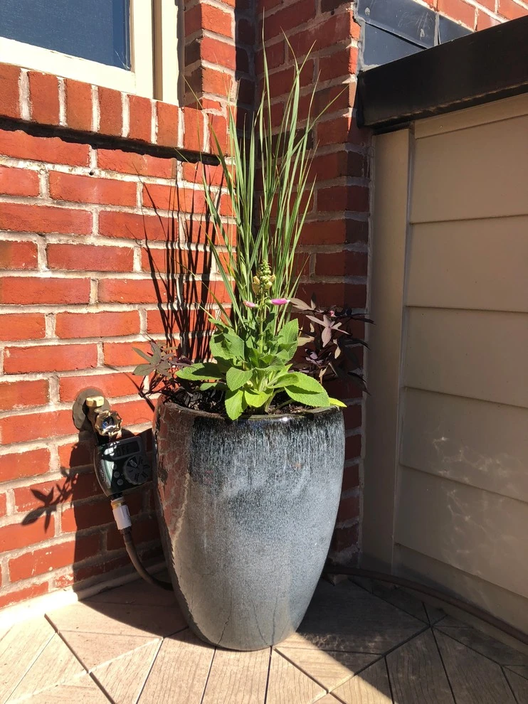 MD Residential Native/Edible Container Patio Garden by Rooftop Roots - Photo 3