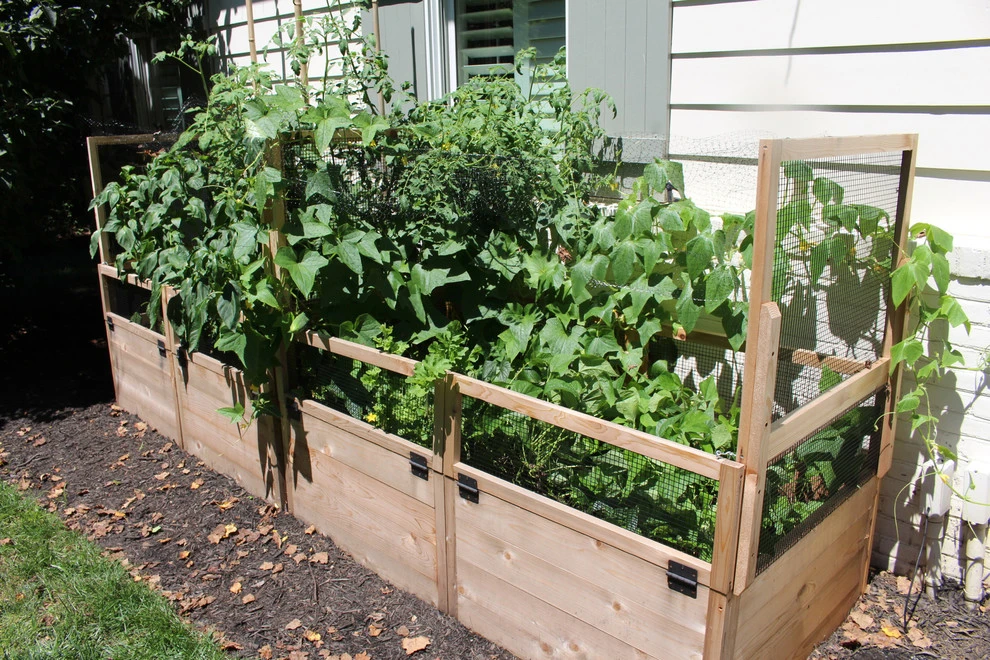 VA Residential Edible Garden by Rooftop Roots - Photo 5