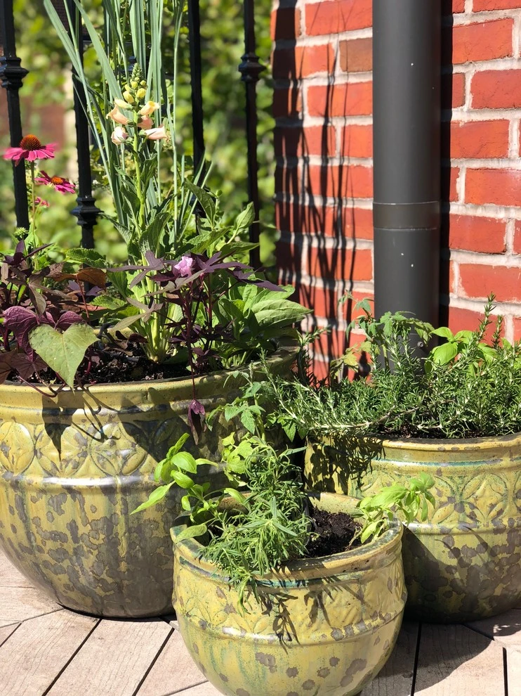 MD Residential Native/Edible Container Patio Garden by Rooftop Roots - Photo 4