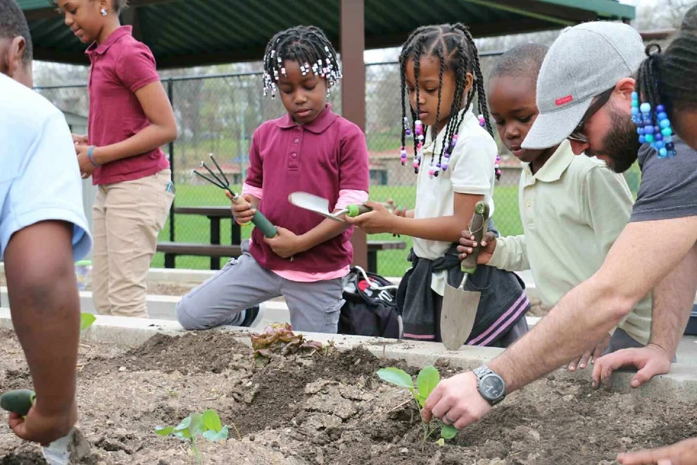 Langdon DC Community Garden by Rooftop Roots - Photo 7