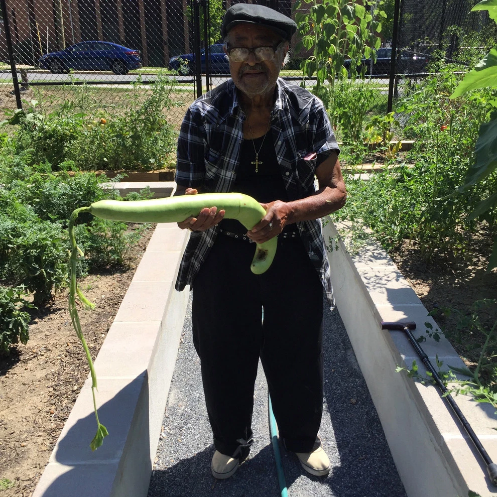 Langdon DC Community Garden by Rooftop Roots - Photo 9