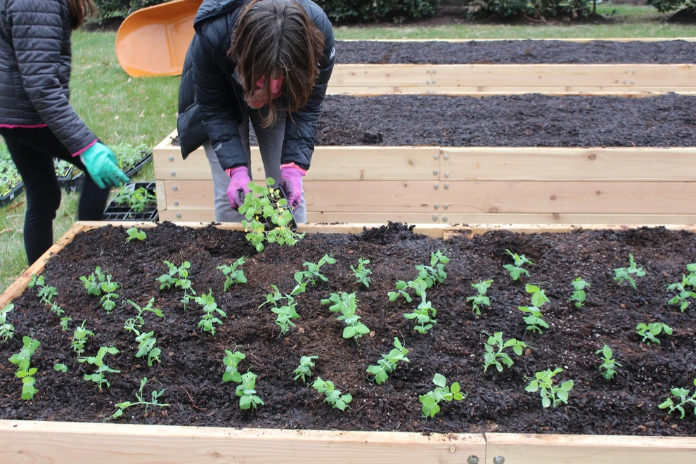 Marymount University by Rooftop Roots - Photo 7