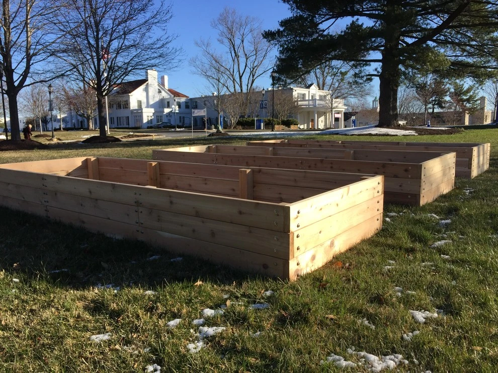 Marymount University by Rooftop Roots - Photo 8