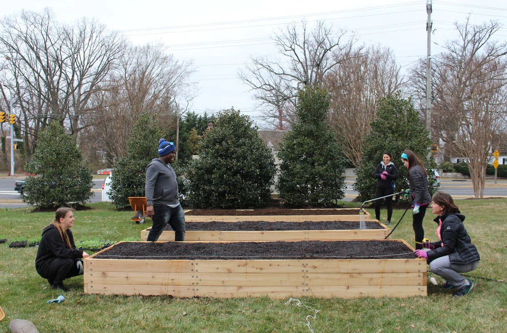 Marymount University by Rooftop Roots - Photo 6