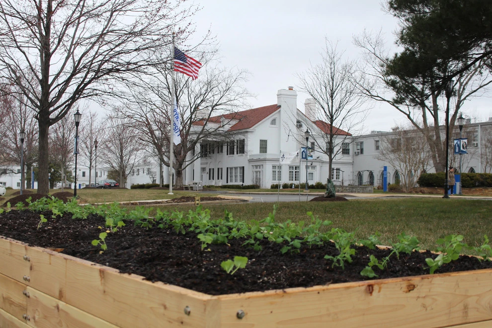 Marymount University by Rooftop Roots - Photo 9