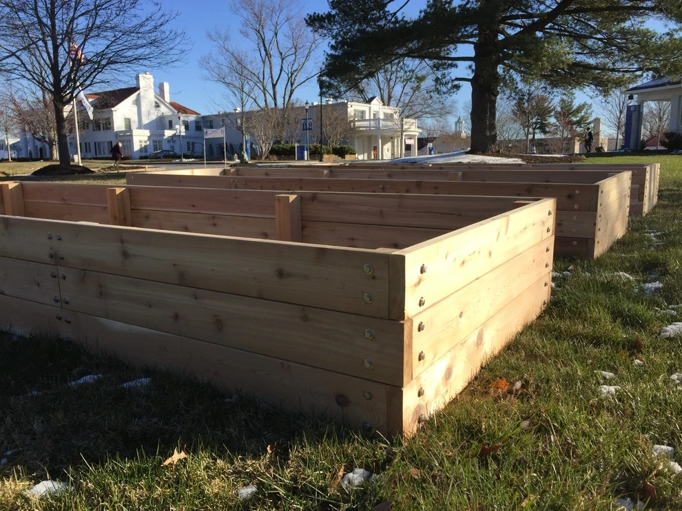 Marymount University by Rooftop Roots - Photo 10