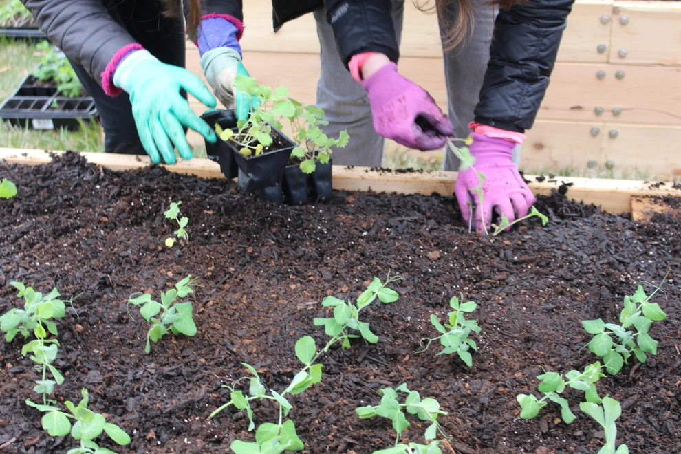 Marymount University by Rooftop Roots - Photo 12