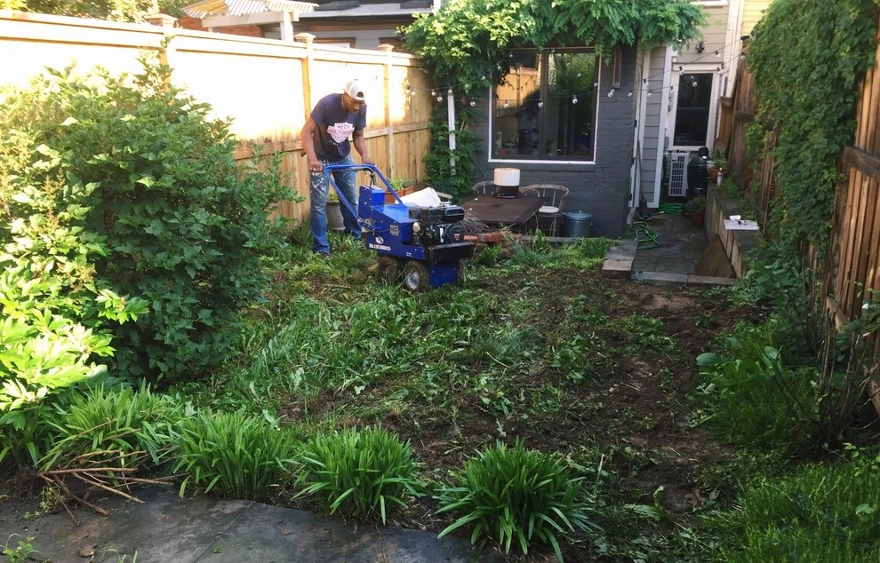 DC Residential Lawn Conversion by Rooftop Roots - Photo 3