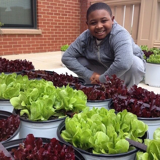 The Station Community Garden by Rooftop Roots - Photo 8