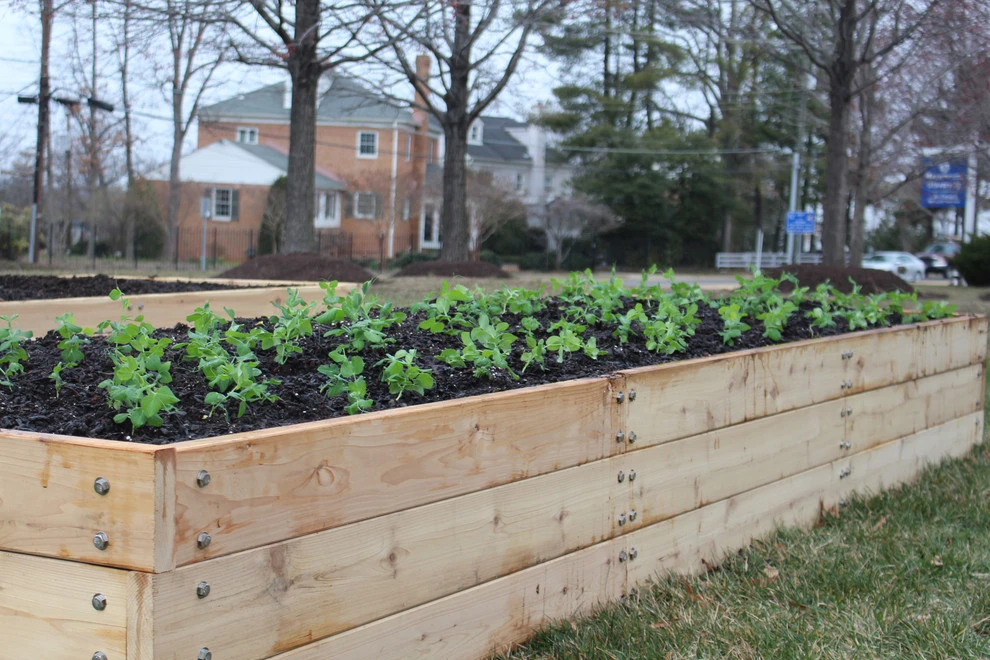Marymount University by Rooftop Roots - Photo 5