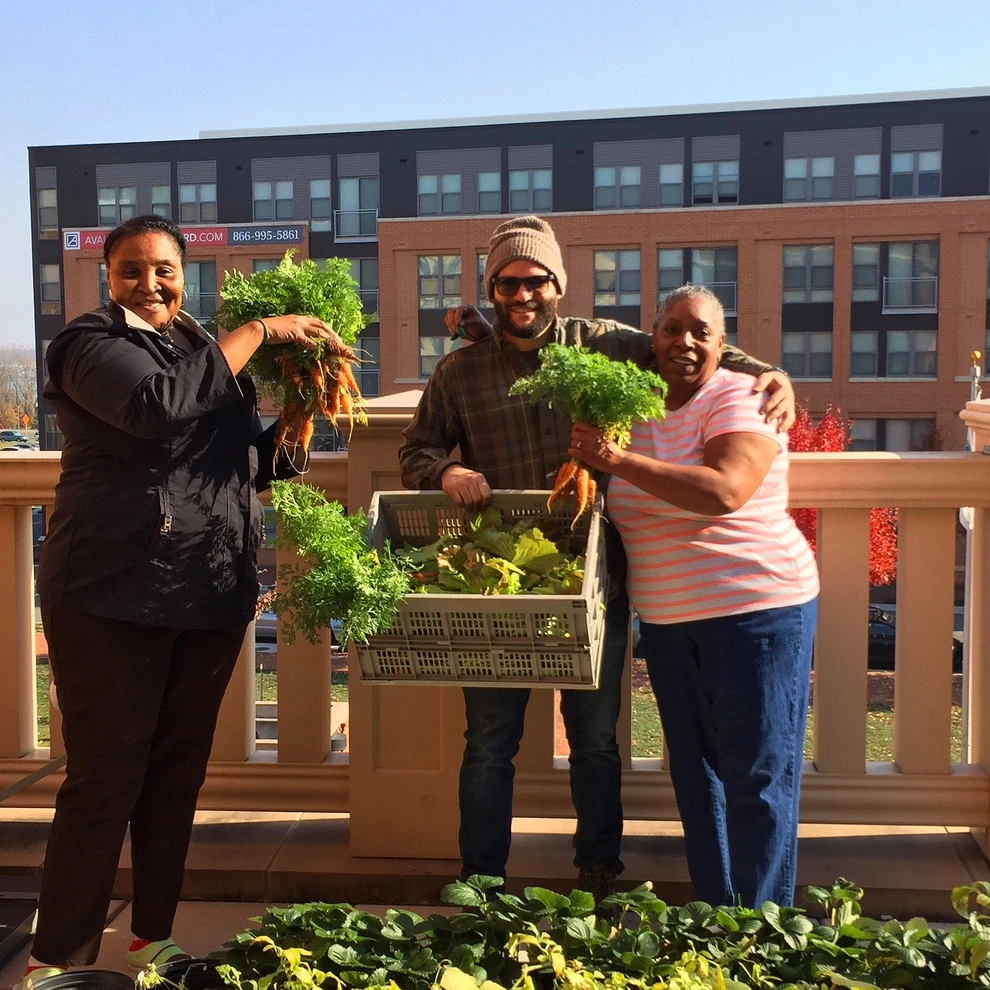 The Station Community Garden by Rooftop Roots - Photo 4