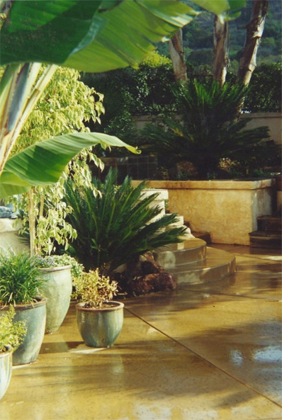 California Home 1 by Creative Landscapes Detroit LLC - Photo 10