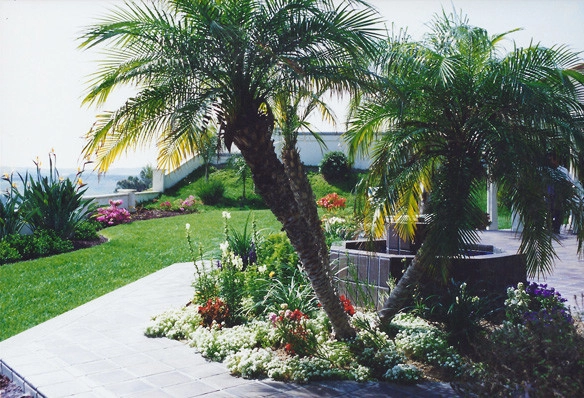 California Home 3 by Creative Landscapes Detroit LLC - Photo 8