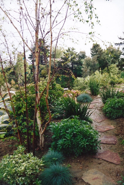 California Home 4 by Creative Landscapes Detroit LLC - Photo 8