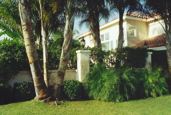 California Home 1 by Creative Landscapes Detroit LLC - Photo 6