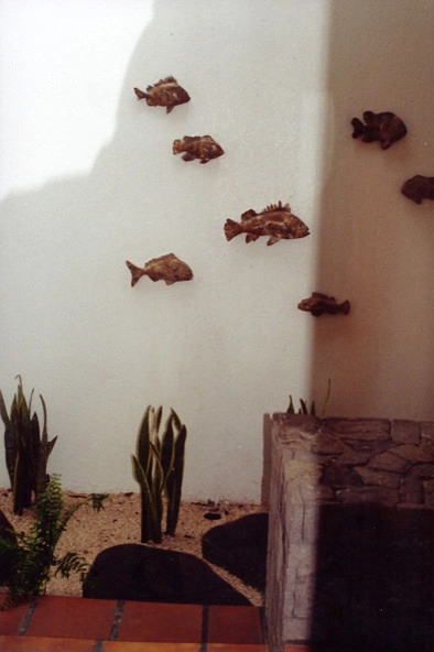 Costa Rica by Creative Landscapes Detroit LLC - Photo 13