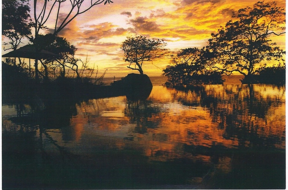 Costa Rica by Creative Landscapes Detroit LLC - Photo 10