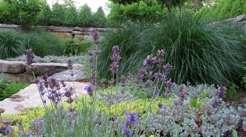 French Park by Creative Landscapes Detroit LLC - Photo 6