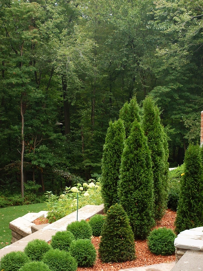 Michigan Homes by Creative Landscapes Detroit LLC - Photo 7