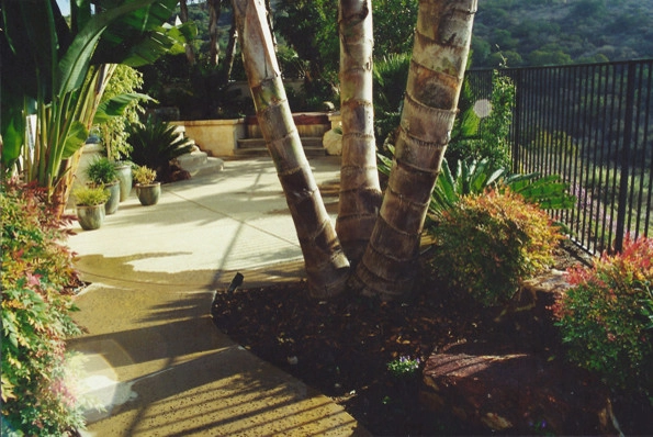 California Home 1 by Creative Landscapes Detroit LLC - Photo 12