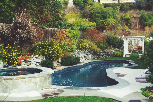 California Home 3 by Creative Landscapes Detroit LLC - Photo 9
