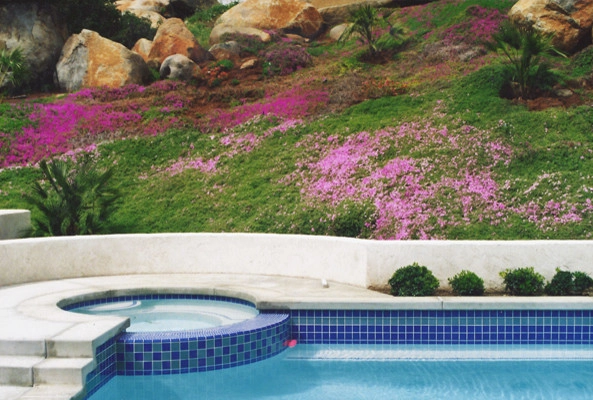 California Home 4 by Creative Landscapes Detroit LLC - Photo 4
