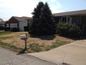 Sunrise Lawn & Garden - Photo 11