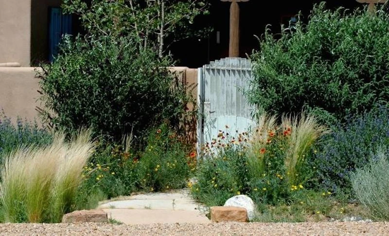 Sunsilk Landscaping - Photo 3