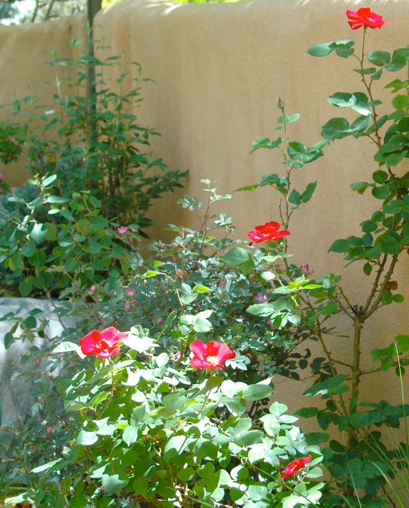 Sunsilk Landscaping - Photo 8
