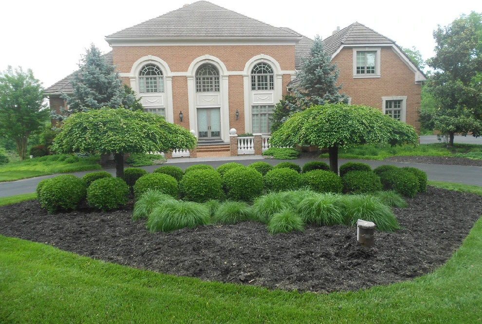 Tenezaca Landscaping - Photo 5