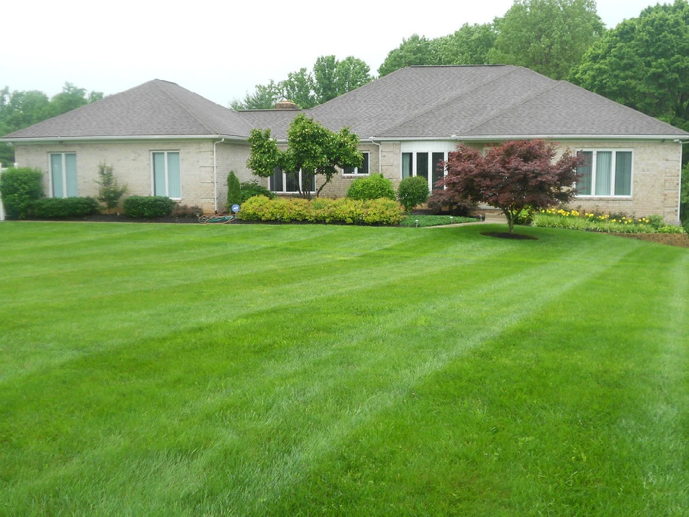 Tenezaca Landscaping - Photo 9