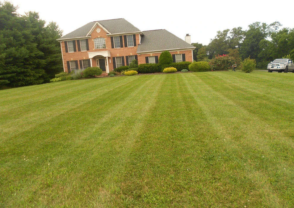 Tenezaca Landscaping - Photo 10