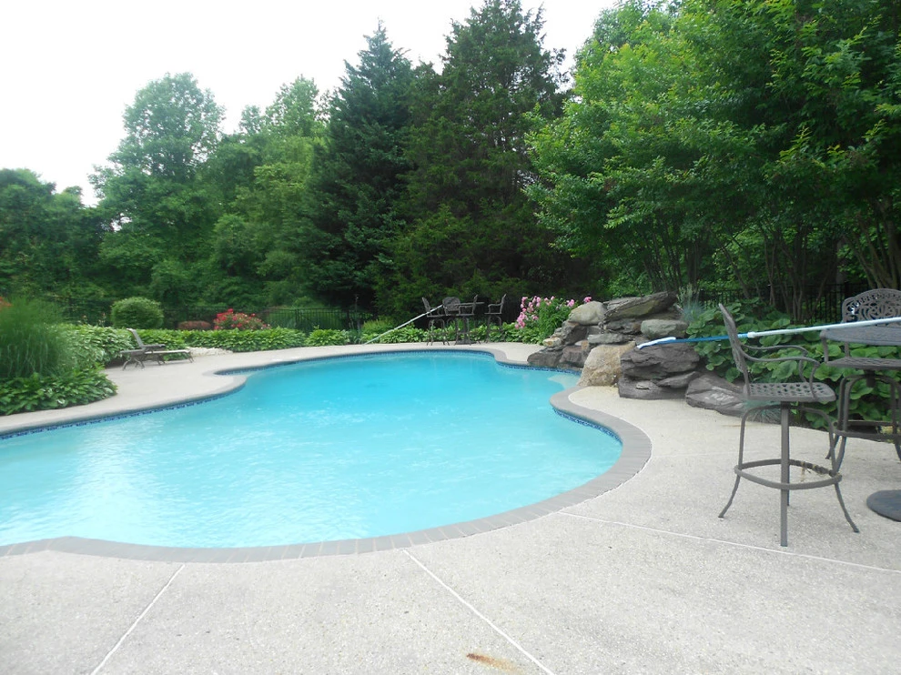 Landscaping Projects by Tenezaca Landscaping - Photo 11