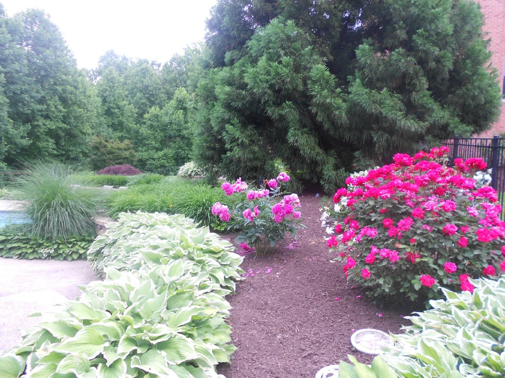 Landscaping Projects by Tenezaca Landscaping - Photo 10